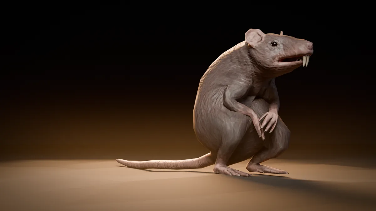 Ratte
