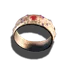 Ring der Läuterung