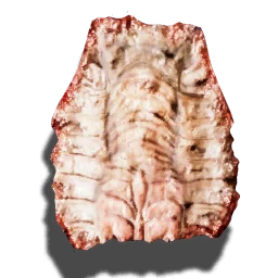 Sumpfhaihaut