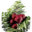 Waldbeeren