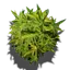 Höhlentau