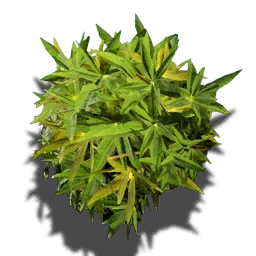 Höhlentau