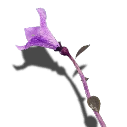 Königstreu
