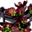 Orkblatt