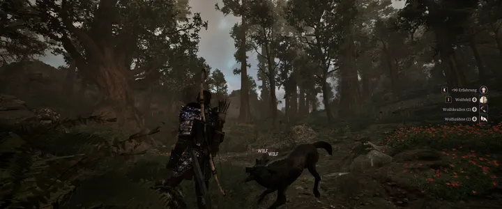Zwei Wölfe im Wald, Gothic 1 Remake
